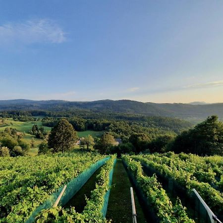Vineyard Cottage Kulovec Ursna Sela Zewnętrze zdjęcie
