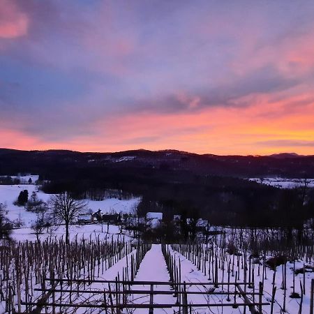 Vineyard Cottage Kulovec Ursna Sela Zewnętrze zdjęcie