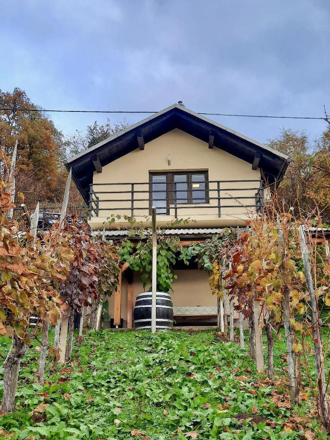 Vineyard Cottage Kulovec Ursna Sela Zewnętrze zdjęcie