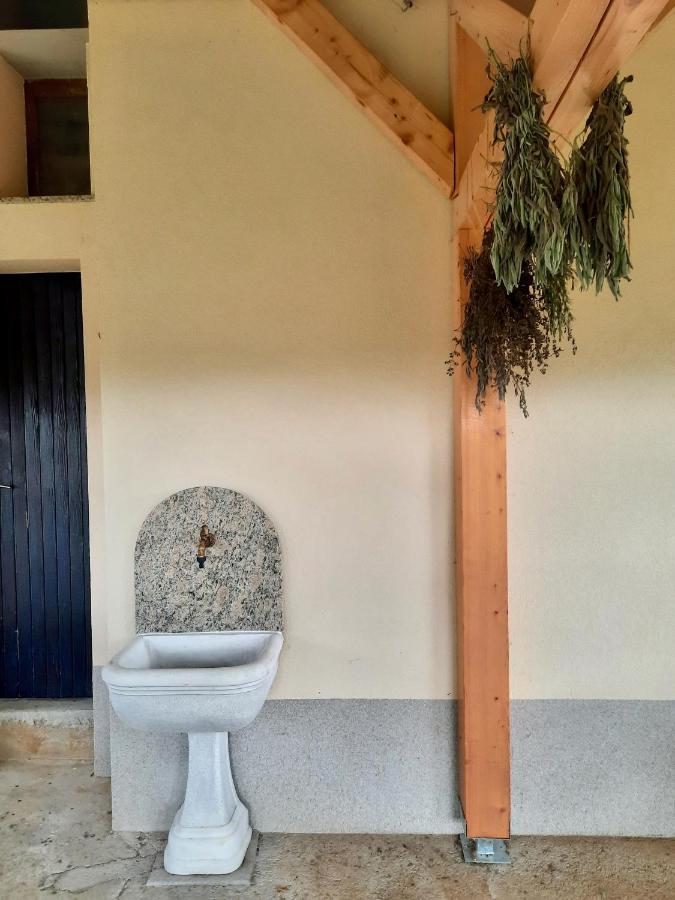 Vineyard Cottage Kulovec Ursna Sela Zewnętrze zdjęcie