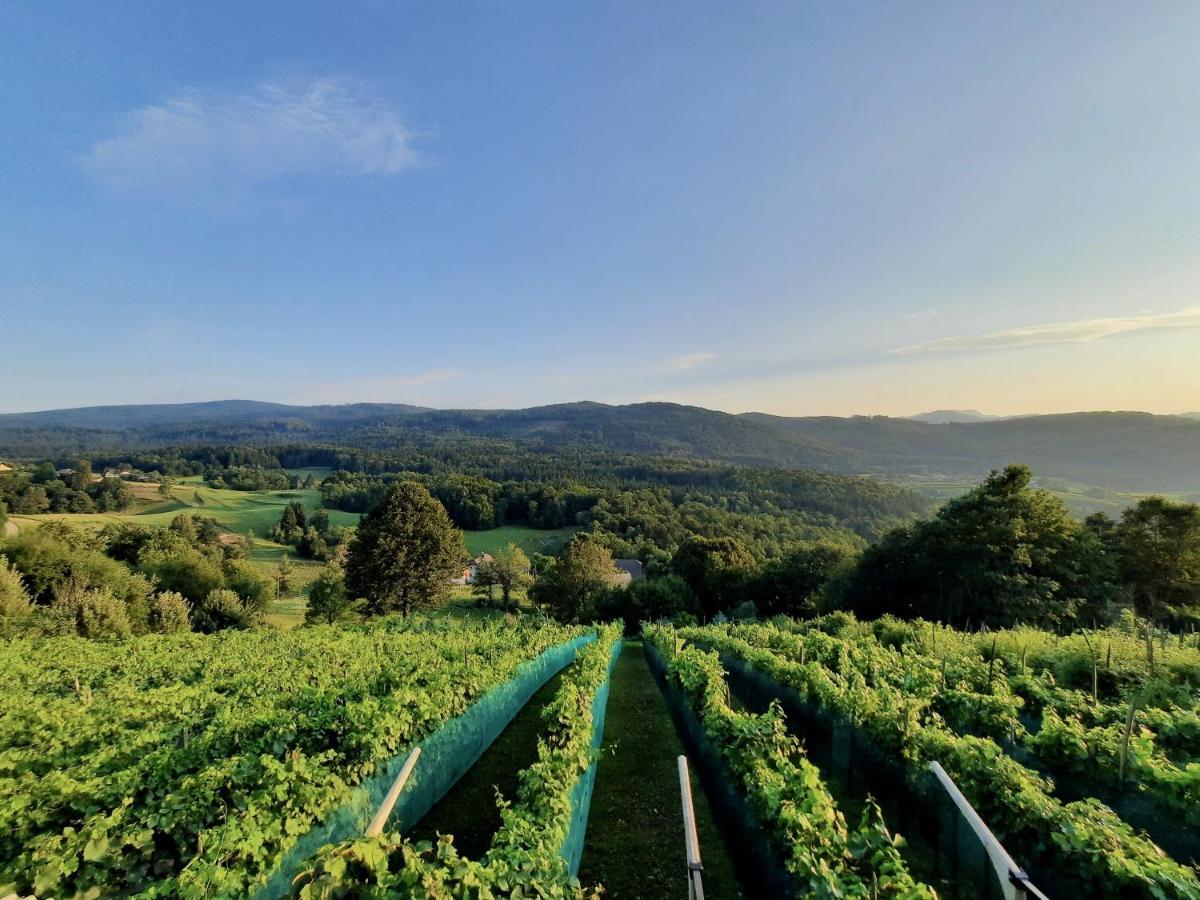 Vineyard Cottage Kulovec Ursna Sela Zewnętrze zdjęcie