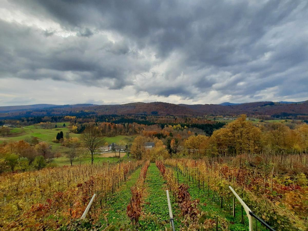 Vineyard Cottage Kulovec Ursna Sela Zewnętrze zdjęcie