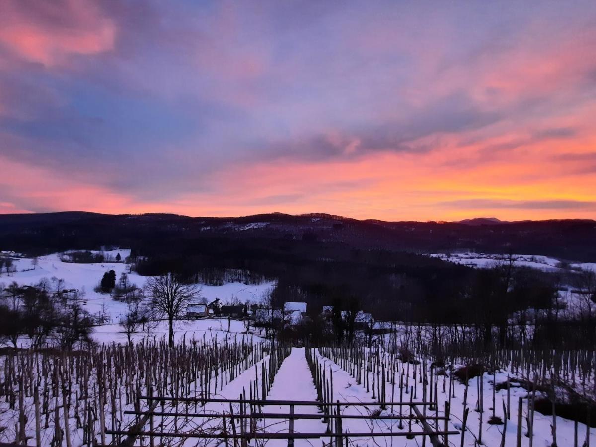 Vineyard Cottage Kulovec Ursna Sela Zewnętrze zdjęcie