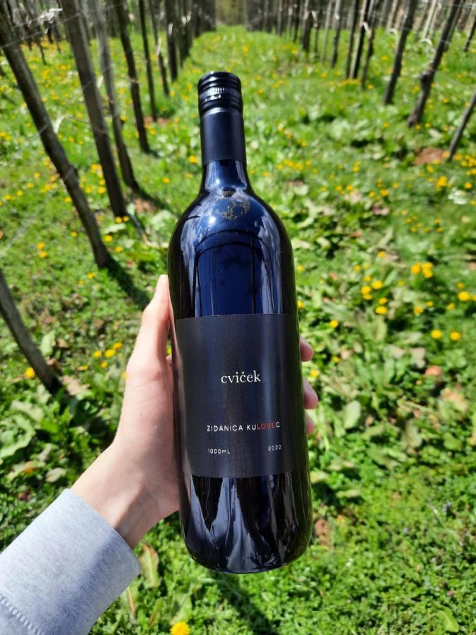 Vineyard Cottage Kulovec Ursna Sela Zewnętrze zdjęcie